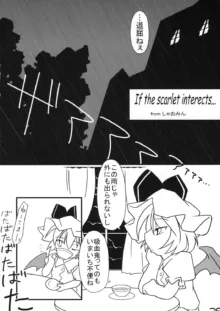 真東方乱華祭 -東方エチ合同本-, 日本語