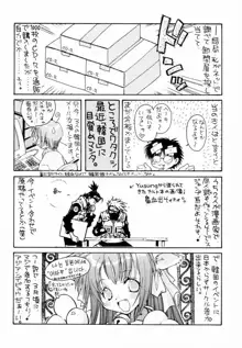 桃色窃盗団 Vol.5, 日本語