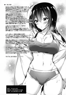 陸セパ戦艦長門も乙女を夢見たい, 日本語