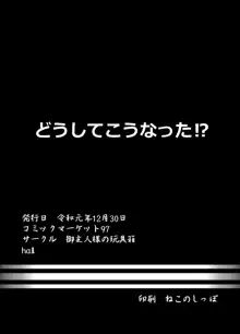 帝国極秘資料四十八手指南書, 日本語