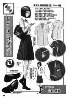 Seifuku Shijou Shugi -Natsu- - Uniforms supremacy, 中文