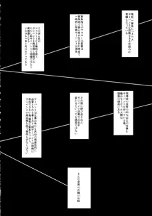 サーバントはマスターを選べない, 日本語