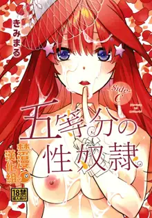 Gotoubun no Seidorei Side-C, 中文