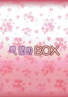 Omodume BOX 40, 中文