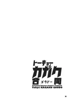 トーキョーカガク合同, 日本語