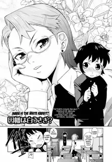 Megane Gakkou - Glasses School (decensored), English