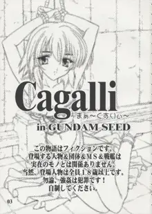 Cagalli まぁ～くすりぃ～, 日本語