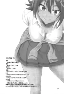 あの娘が寝てる間に…, 日本語