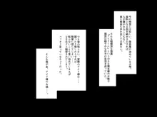 我が主は、ちょろかわ吸血鬼, 日本語