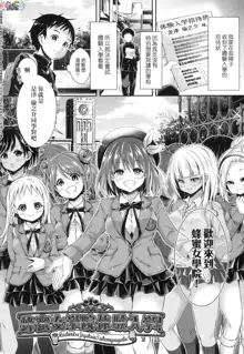 Harem Jogakuin Taiken Nyuugaku - Harem Girls School Trial Enrollments (decensored), 中文