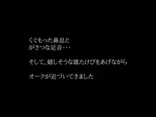 孕ませ異種姦_オークの妊娠便器にされたエルフ, 日本語