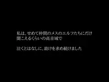 孕ませ異種姦_オークの妊娠便器にされたエルフ, 日本語