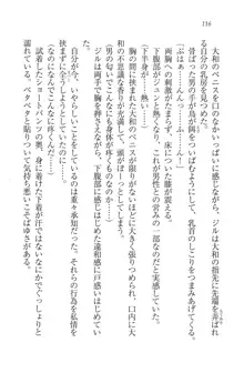 となプリ 王女様の休日, 日本語