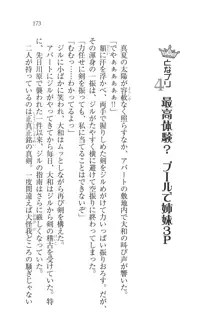 となプリ 王女様の休日, 日本語