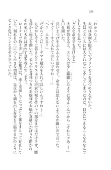 となプリ 王女様の休日, 日本語