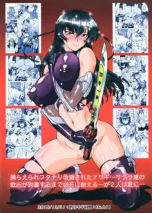 Taimannin Asagi, English