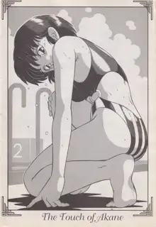 Ranma X, Italiano