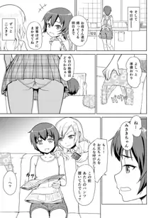 ギャルな妹と男の娘な兄, 日本語