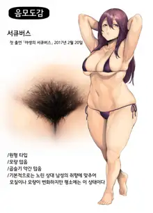 Inmou Zukan 1~4 | 음모도감 1~4, 한국어