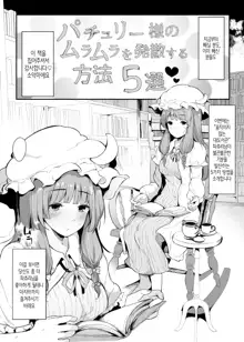 Patchouli-sama no Muramura o Hassan Suru Houhou 5-sen |  파츄리님이 불끈불끈함을 발산하는 방법 5선, 한국어