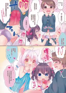 Yasashiku Shite ne, Koneko-chan!, 中文