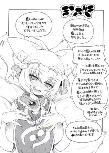 東方迷込 ～八雲藍編～, 日本語