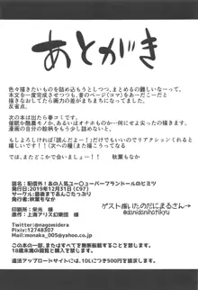 配信外!あの人気ユー〇ューバーフランドールのヒミツ, 日本語