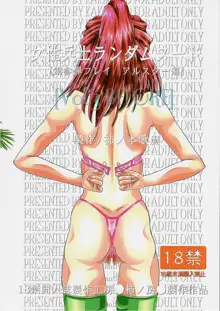 RANDOM NUDE Vol.3 - Flay Allster, 日本語