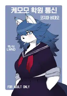 Kemomo Gakuen Tsuushin | 케모모 학원 통신, 한국어