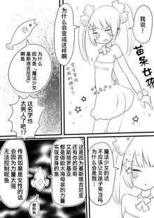 Mahou Shoujo Estrogia & Mahou Shoujo Gestagenia, 中文