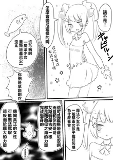 Mahou Shoujo Estrogia & Mahou Shoujo Gestagenia, 中文