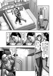 母の秘蜜 第40-58話, 日本語