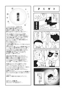 我が家のもっさちゃん。, 日本語