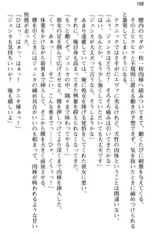 弱すぎて田舎に追放されたので異世界メイドとスローライフを始めます!, 日本語