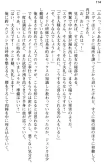 弱すぎて田舎に追放されたので異世界メイドとスローライフを始めます!, 日本語