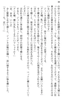 弱すぎて田舎に追放されたので異世界メイドとスローライフを始めます!, 日本語