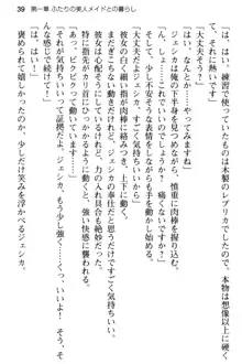 弱すぎて田舎に追放されたので異世界メイドとスローライフを始めます!, 日本語