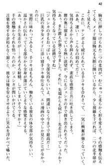 弱すぎて田舎に追放されたので異世界メイドとスローライフを始めます!, 日本語