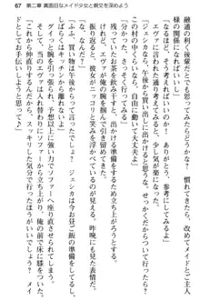 弱すぎて田舎に追放されたので異世界メイドとスローライフを始めます!, 日本語