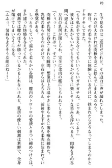 弱すぎて田舎に追放されたので異世界メイドとスローライフを始めます!, 日本語