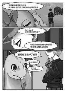 Poor Chikorita -2-, 中文