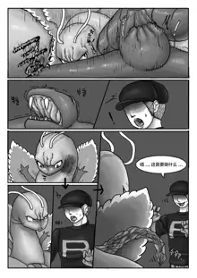 Poor Chikorita -2-, 中文