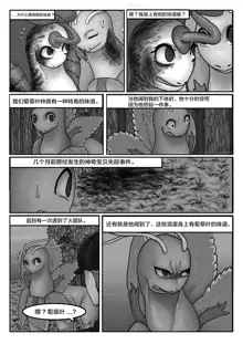 Poor Chikorita -2-, 中文