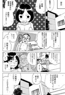 イビツヘンアイ, 日本語