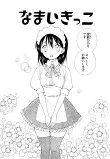 SHY GIRL, 日本語