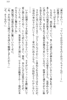 奴隷志願なエルフさん～お買い上げありがとうございます、ご主人様!～, 日本語