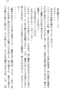 奴隷志願なエルフさん～お買い上げありがとうございます、ご主人様!～, 日本語