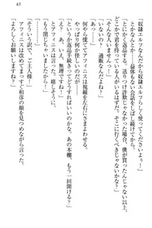 奴隷志願なエルフさん～お買い上げありがとうございます、ご主人様!～, 日本語