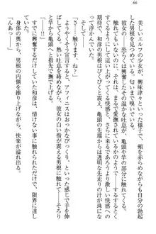 奴隷志願なエルフさん～お買い上げありがとうございます、ご主人様!～, 日本語