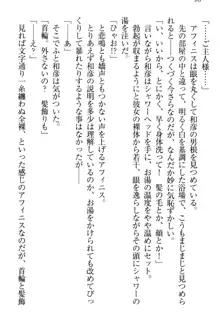 奴隷志願なエルフさん～お買い上げありがとうございます、ご主人様!～, 日本語